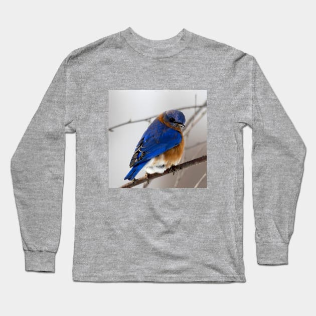 Eastern Blue Bird Long Sleeve T-Shirt by Glenn Landas Digital Art